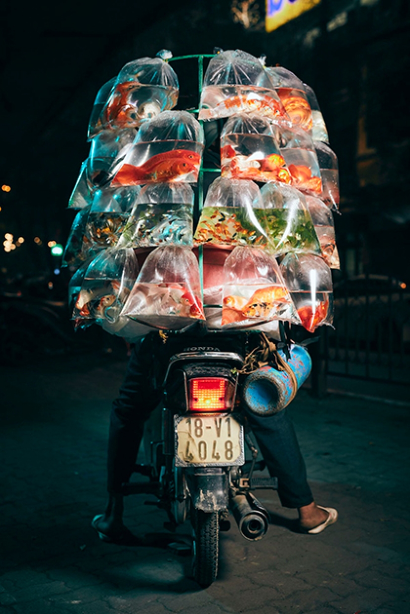 Las mejores fotos de la lista de finalistas del 17º Concurso de Fotografía del Smithsonian