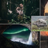 Las mejores fotos del Sony World Photography Award 2020
