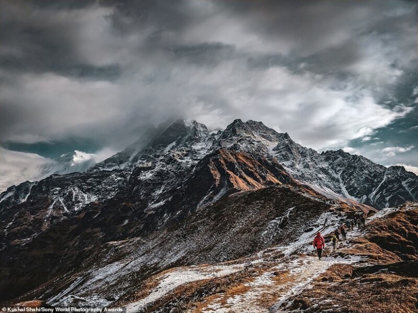 Las mejores fotos del Sony World Photography Award 2020