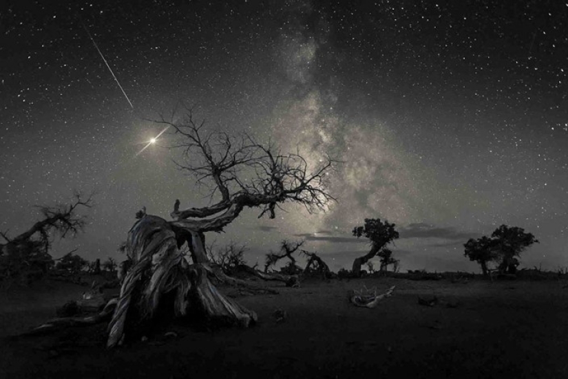 Las mejores imágenes del espacio según el concurso Astronomy Photographer 2019