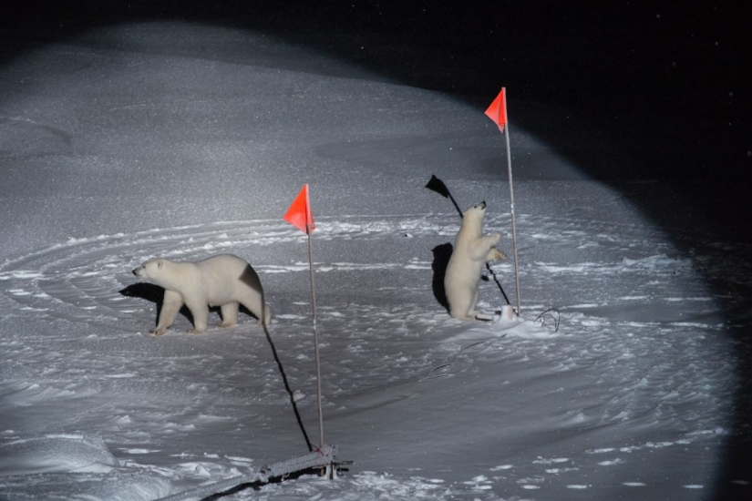 Las tomas más interesantes del prestigioso concurso World Press Photo 2020