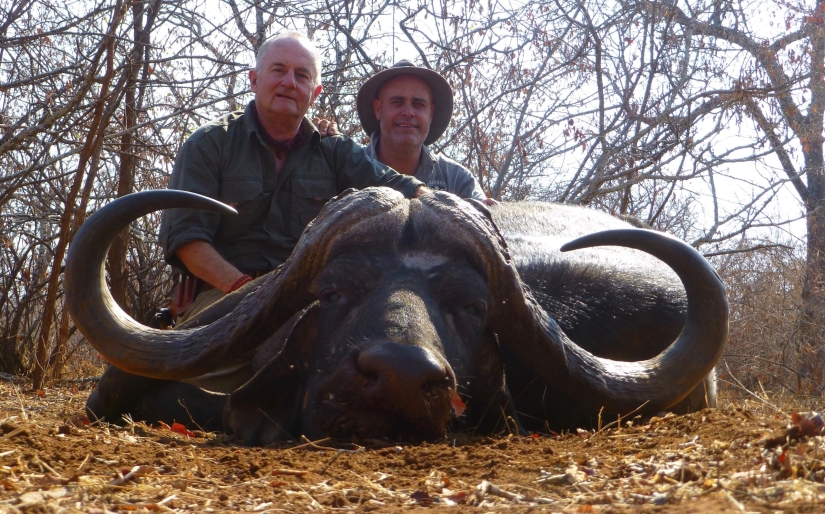 Legalized killing: Animal advocates oppose trophy hunting in South Africa