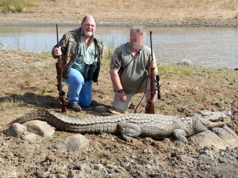 Legalized killing: Animal advocates oppose trophy hunting in South Africa