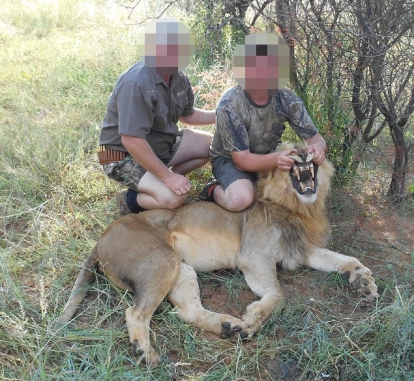 Legalized killing: Animal advocates oppose trophy hunting in South Africa