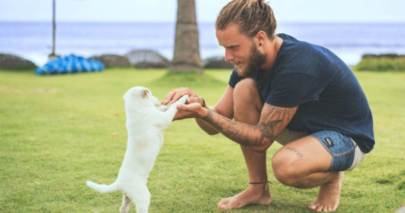 Licencia por cuidado de perros: Estas compañías dan descanso remunerado cuando los empleados tienen una mascota