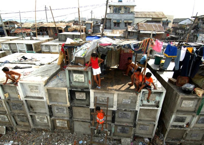 Life at the cemetery: 13 photos