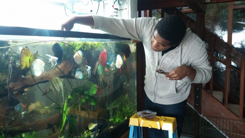 Life hack for travelers: how animal lovers can find free housing abroad