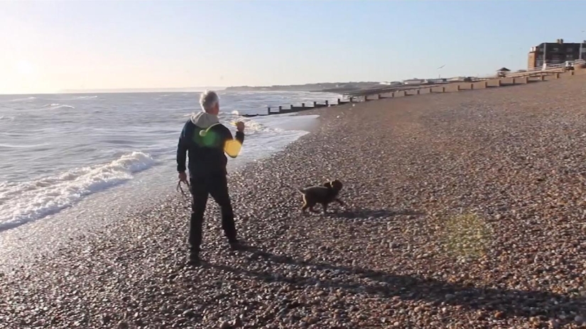 Life hack for travelers: how animal lovers can find free housing abroad