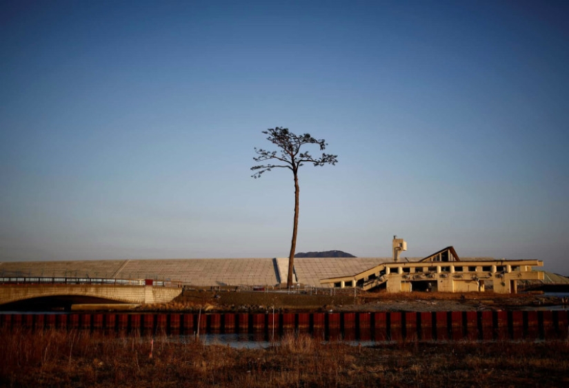 Life is like in prison: the coast of Japan, affected by the 2011 tsunami, was surrounded by a 12-meter wall