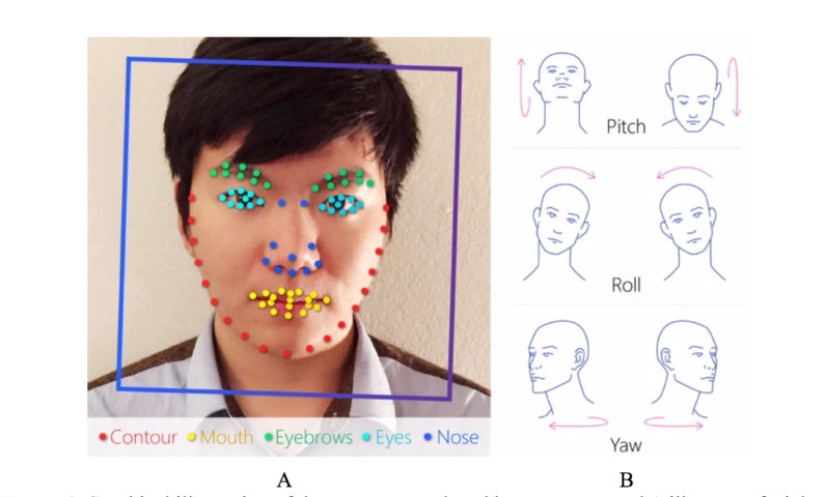 Likes — dislikes: scientists have created an algorithm that identifies gay people by photo