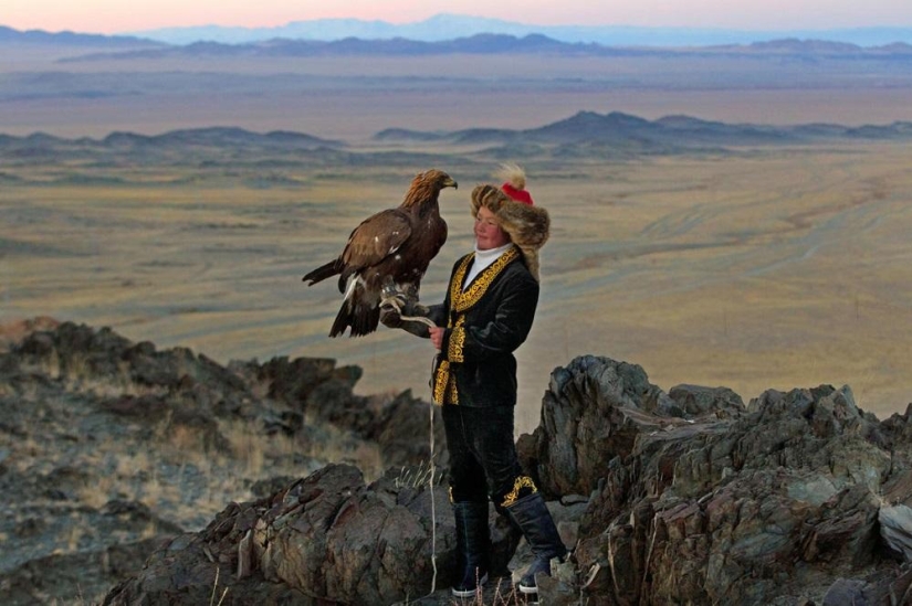Little harsh hunters with golden eagles