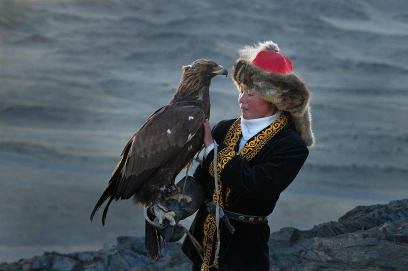 Little harsh hunters with golden eagles