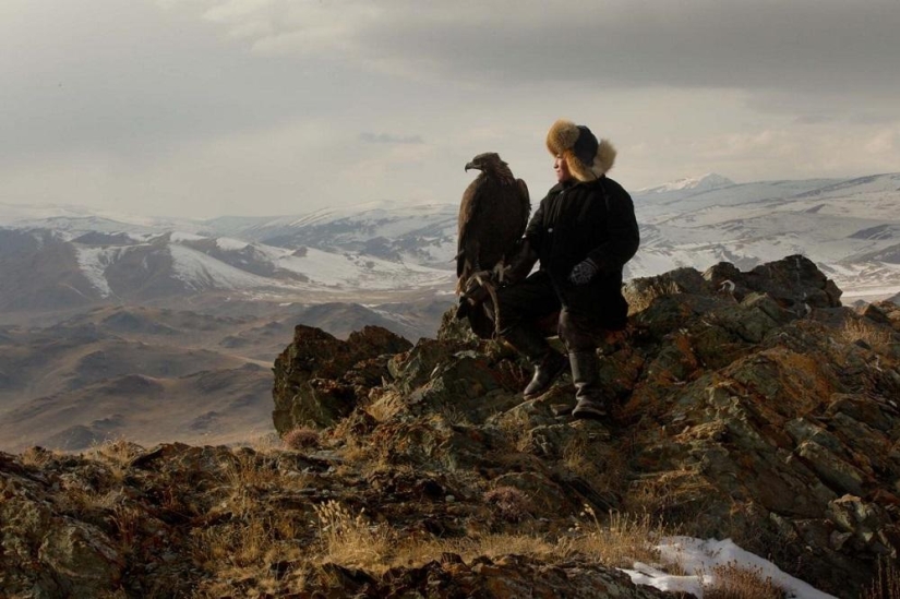 Little harsh hunters with golden eagles