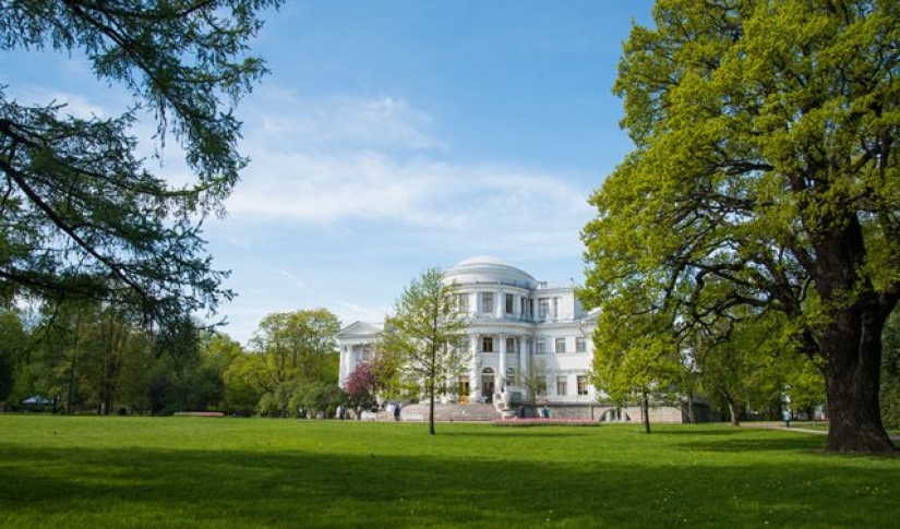 Living there: advice from residents of St. Petersburg