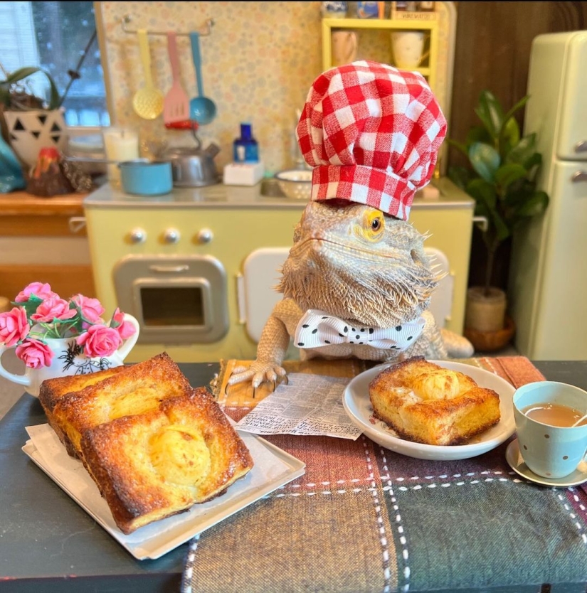 Lizard Chef Lenny the Lizard is a star of social networks and author of cookbooks