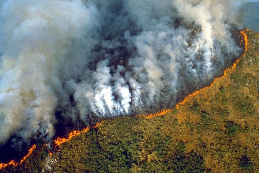 Lluvia de cenizas y eclipse: Brasil se ahoga en humo debido a incendios en la selva amazónica Lluvia de cenizas y eclipse: Brasil se ahoga en humo debido a incendios en la selva amazónica