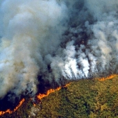 Lluvia de cenizas y eclipse: Brasil se ahoga en humo debido a incendios en la selva amazónica