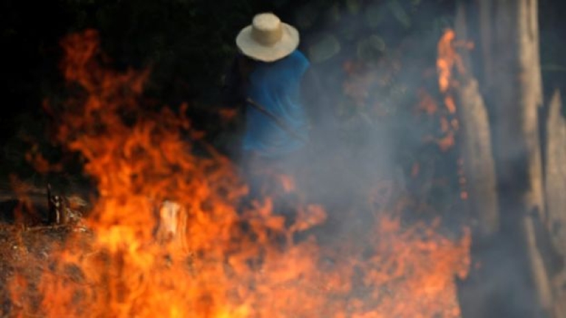 Lluvia de cenizas y eclipse: Brasil se ahoga en humo debido a incendios en la selva amazónica Lluvia de cenizas y eclipse: Brasil se ahoga en humo debido a incendios en la selva amazónica