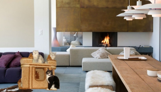 Lo fácil que es comprobar si tu interior es una mierda