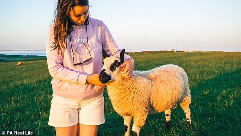 London-weary couple spend £15,500 converting outdated van into mobile home - and now work remotely three days a week to travel across the UK