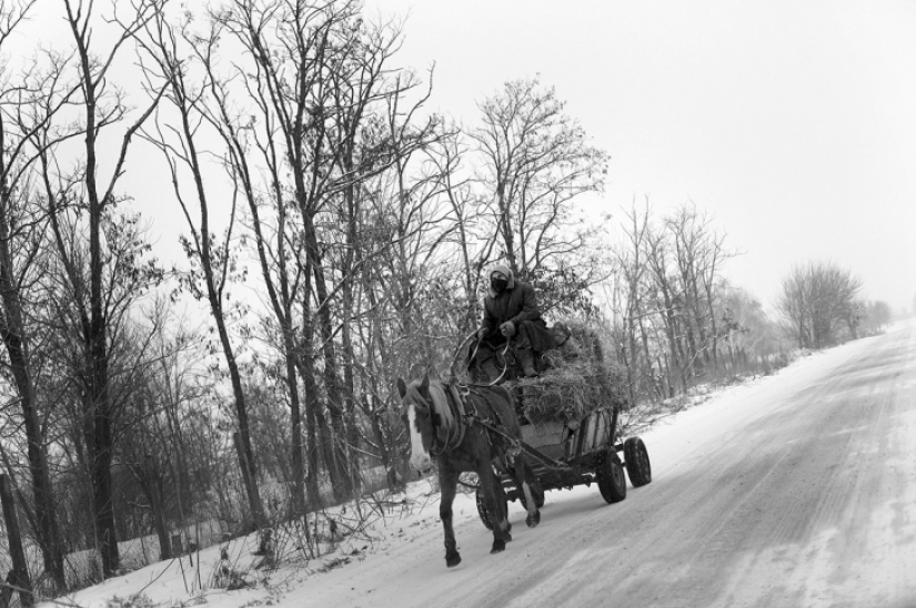 Loneliness in Bulgarian Loneliness in Bulgarian