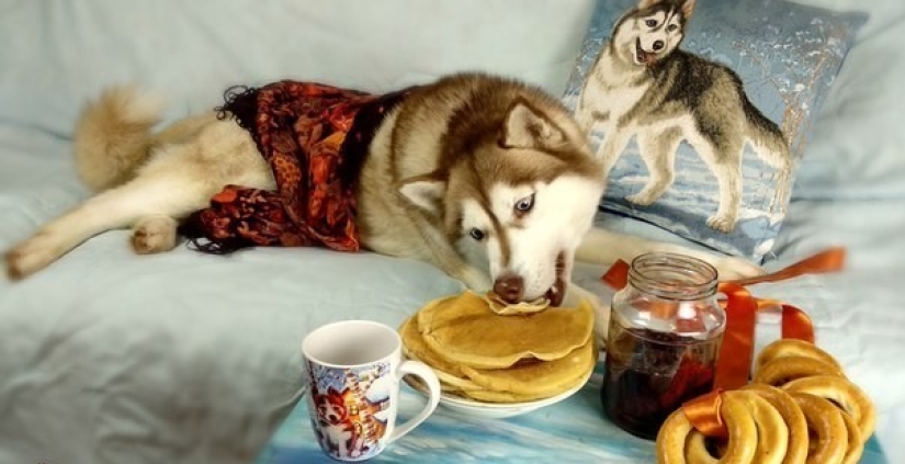 Look at you, Maslenitsa! Well, let's go jokes about pancakes