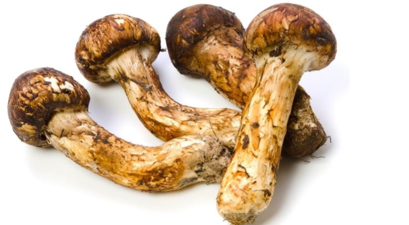 Los 10 productos más caros del planeta para 2017