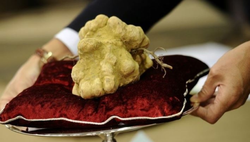 Los 10 productos más caros del planeta para 2017