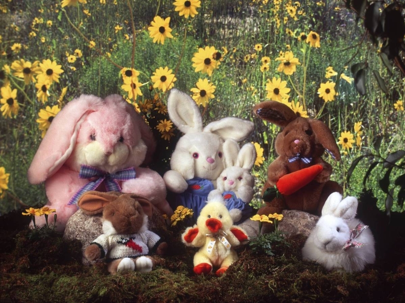 Los 11 museos más inusuales de América Los 11 museos más inusuales de América