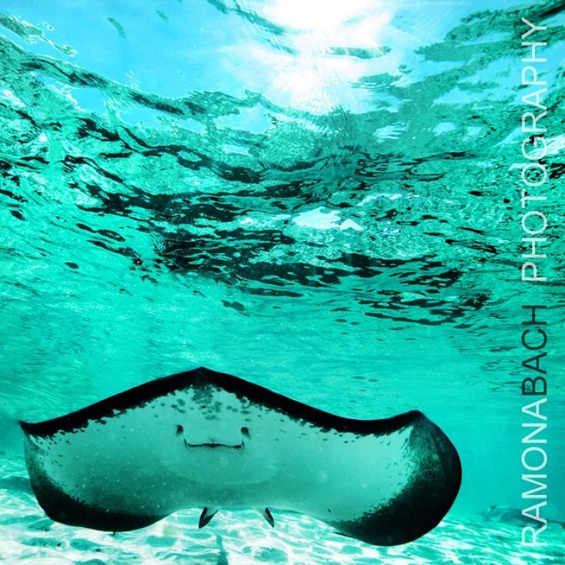 Los 25 mejores lugares para bucear