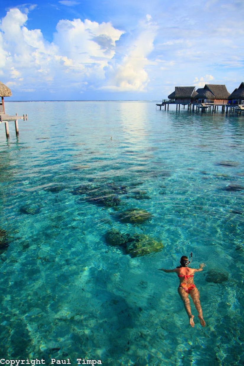 Los 25 mejores lugares para bucear