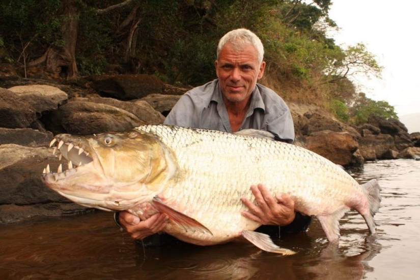 Los 7 animales más extraños y aterradores de los que deberías huir