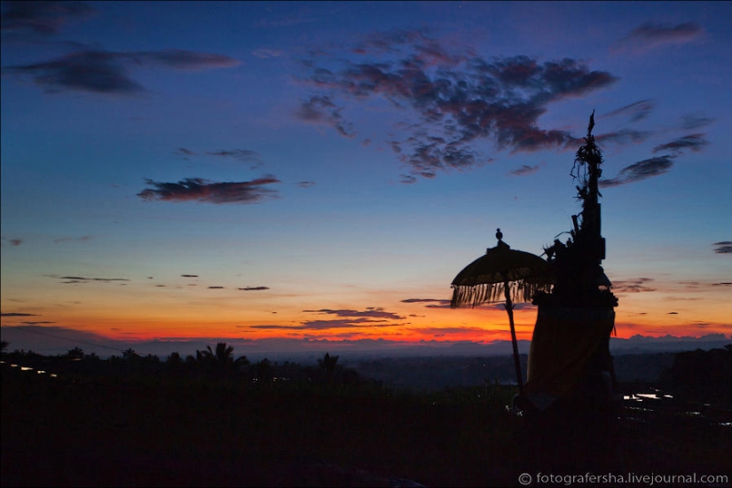 Los campos de arroz de bali