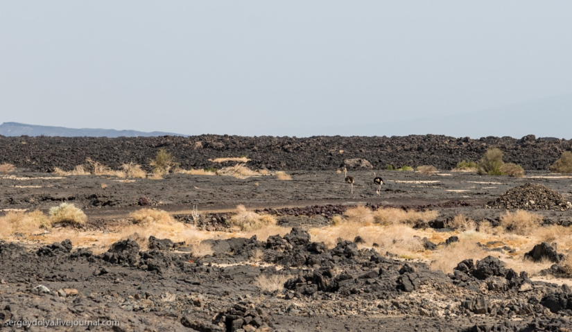 Los chinos están conquistando gradualmente África, construyendo caminos impecables por los que nadie conduce