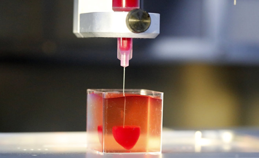 Los científicos han creado órganos reproductivos artificiales y hacen frente a sus funciones