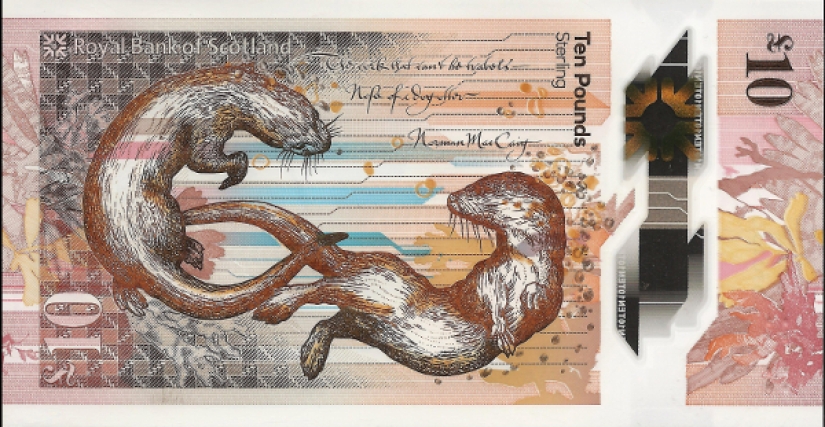 Los francos suizos volvieron a ganar el "concurso de belleza" entre los billetes Los francos suizos volvieron a ganar el "concurso de belleza" entre los billetes