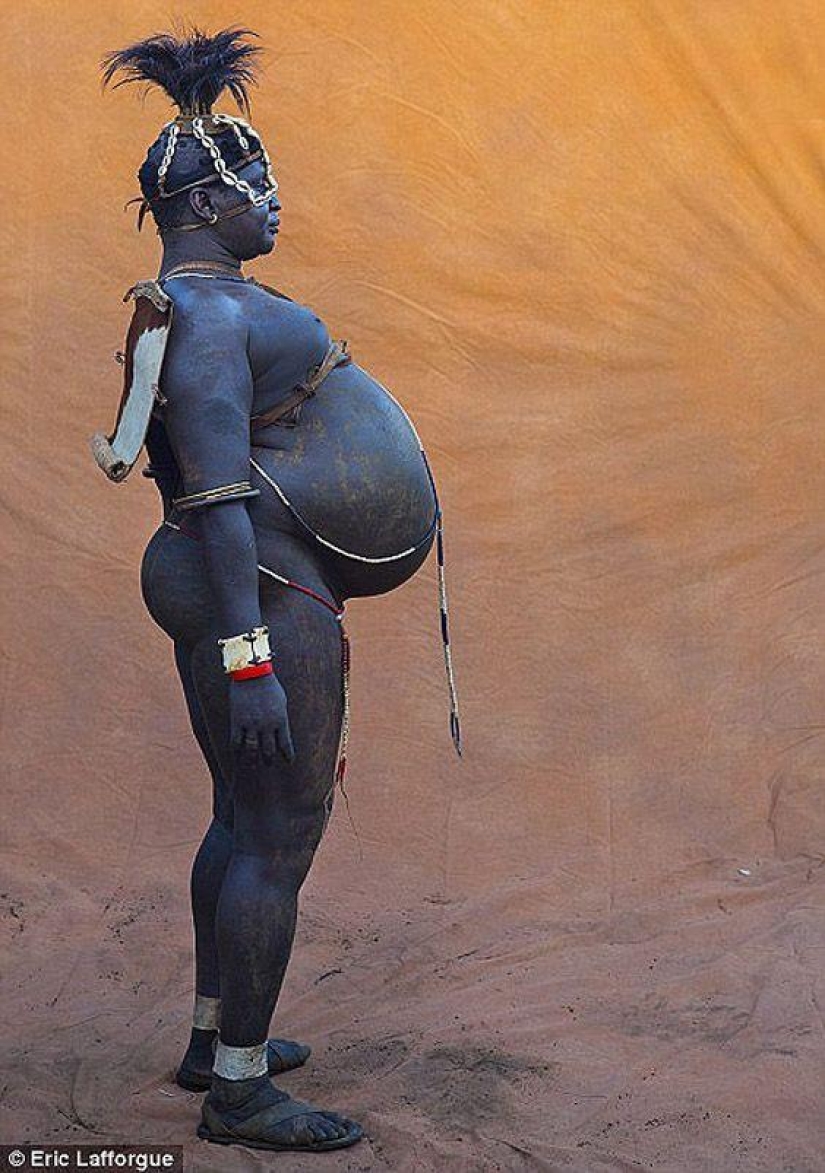 Los hombres de la tribu etíope beben sangre con leche para obtener el título de habitante más gordo de la aldea Los hombres de la tribu etíope beben sangre con leche para obtener el título de habitante más gordo de la aldea