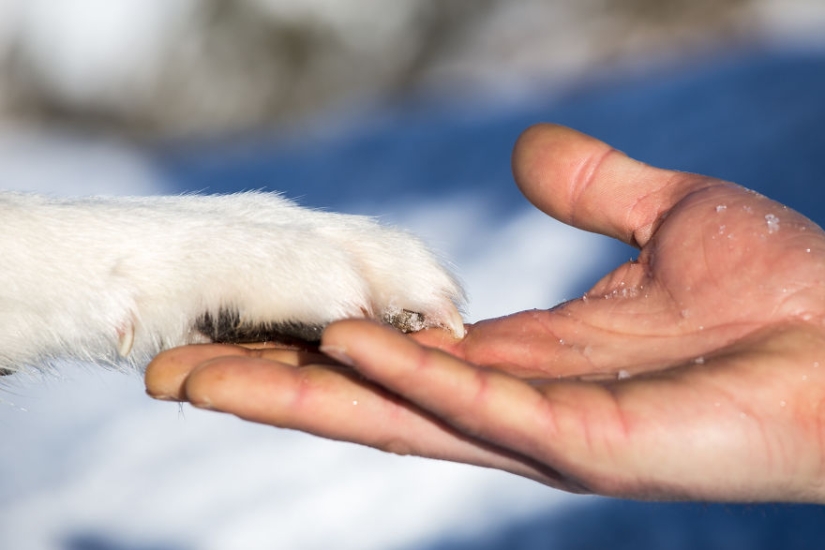 Los mejores trabajos de la final del concurso de fotografía Love 2019
