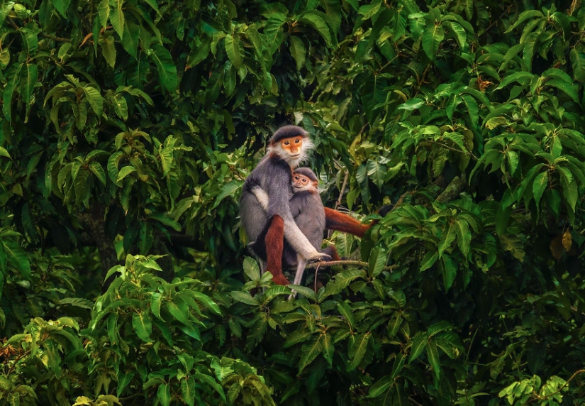 Los mejores trabajos de la final del concurso de fotografía Love 2019