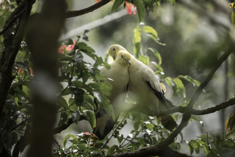 Los mejores trabajos de la final del concurso de fotografía Love 2019