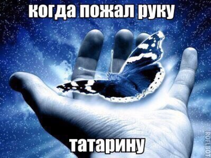 Los "memes terribles" están conquistando Internet: no todos podrán entender este humor