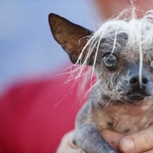 Los monstruos más adorables