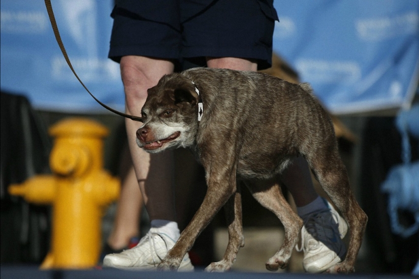 Los monstruos más adorables