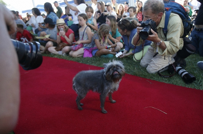Los monstruos más adorables
