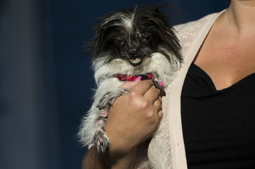 Los monstruos más adorables