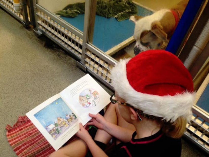 Los niños leen en voz alta en un refugio de animales para ayudar a los perros tímidos y acosados a adaptarse