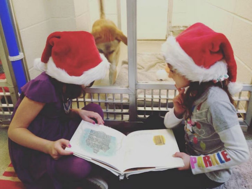 Los niños leen en voz alta en un refugio de animales para ayudar a los perros tímidos y acosados a adaptarse