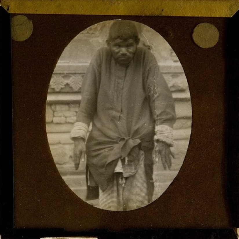 Los niños más famosos son Mowgli: cómo fueron los destinos de los niños que crecieron entre animales