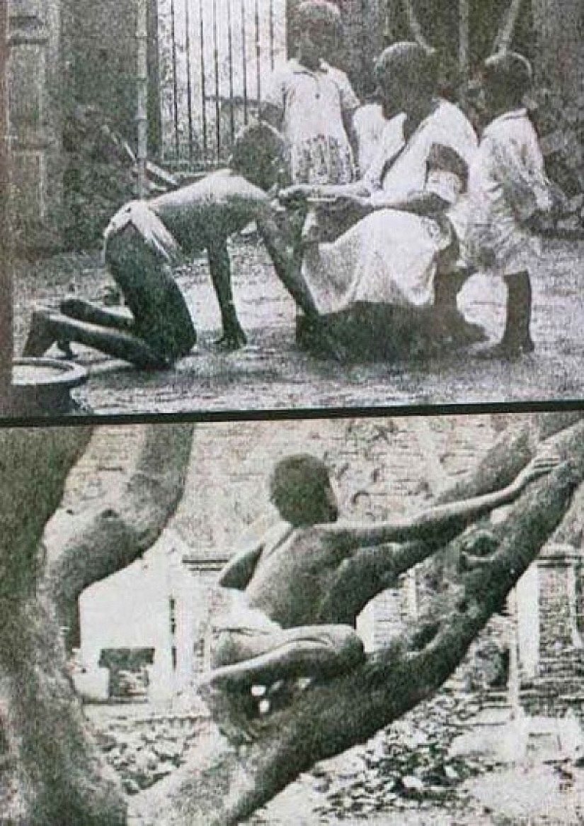 Los niños más famosos son Mowgli: cómo fueron los destinos de los niños que crecieron entre animales