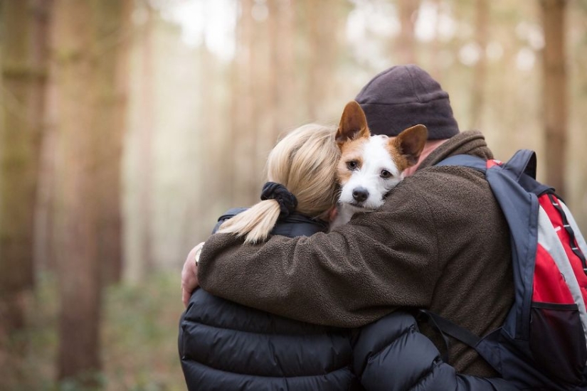 Los perros más fotogénicos: perros guía, empleados y solo amigos humanos Los perros más fotogénicos: perros guía, empleados y solo amigos humanos